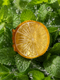 Pince fruit